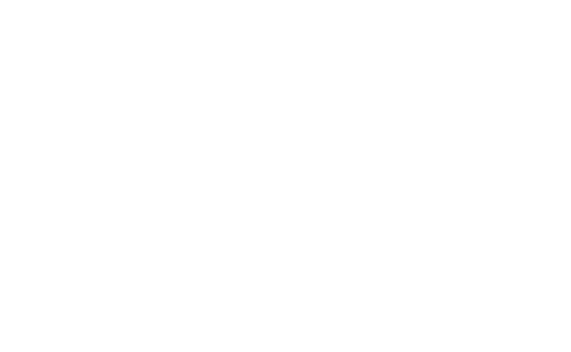 TU Delft Logo White